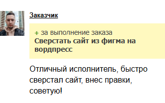 Отзыв клиента с FL.ru о поддержке WordPress сайта