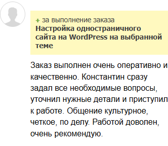 Отзыв клиента с FL.ru о технической SEO-оптимизации WordPress